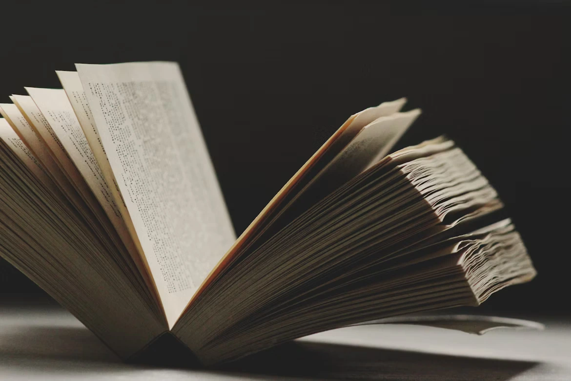 Kitap içi illüstrasyon